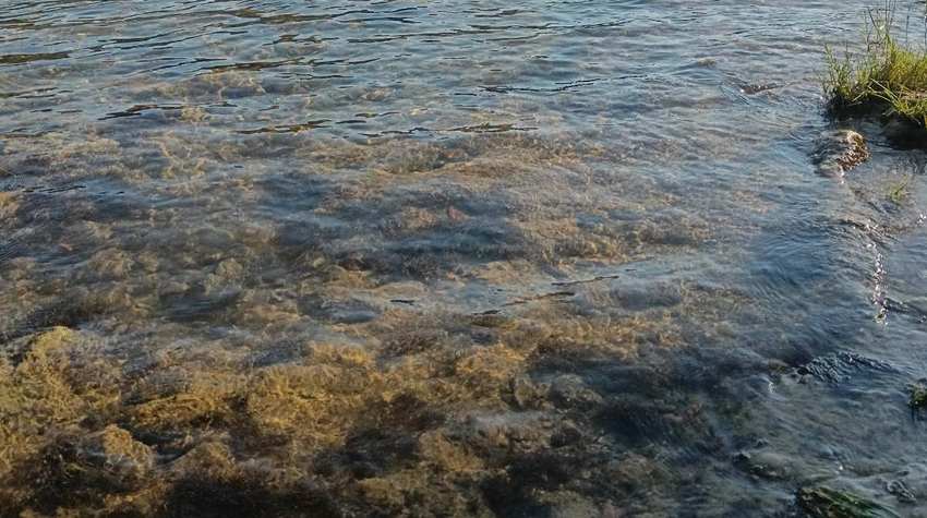 PRIČA O "TREĆOJ ADI" I MORSKOM DANU NA RIJECI UNI